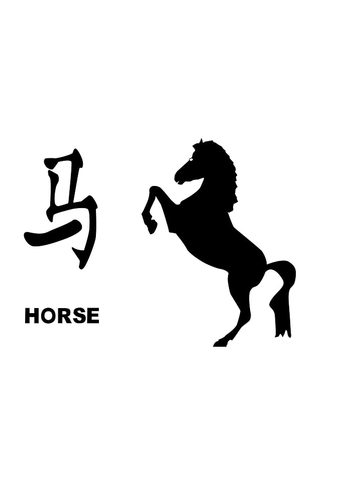 Chinese Year Of The Horse