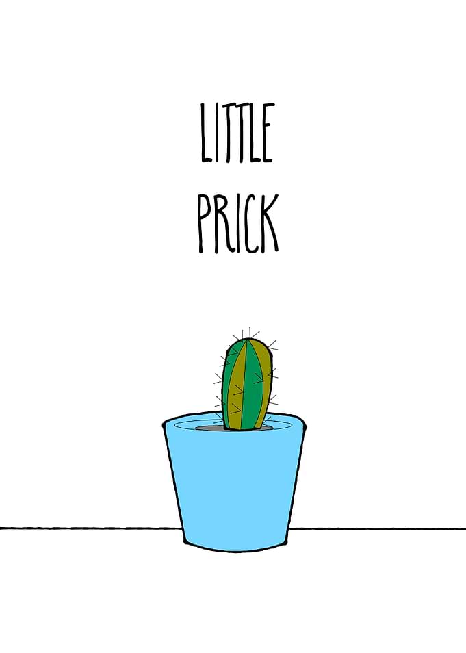 Little Prick Cactus