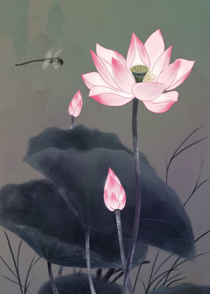 Lotus Flowers dragonfly