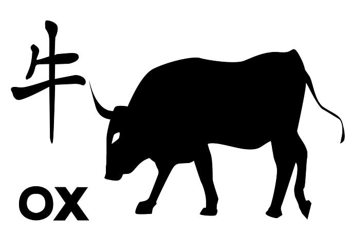 Chinese Year Of The Ox