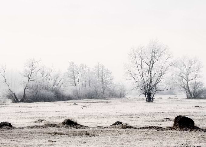Bleakness