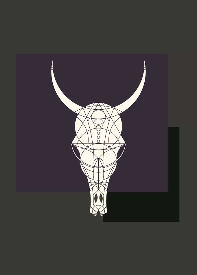 Geometric Cow Skull