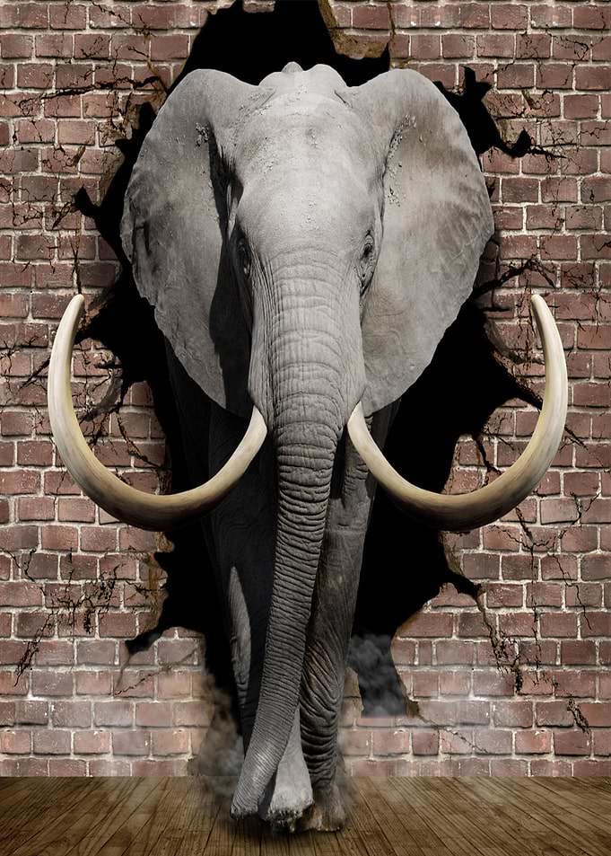 Elephant break the wall
