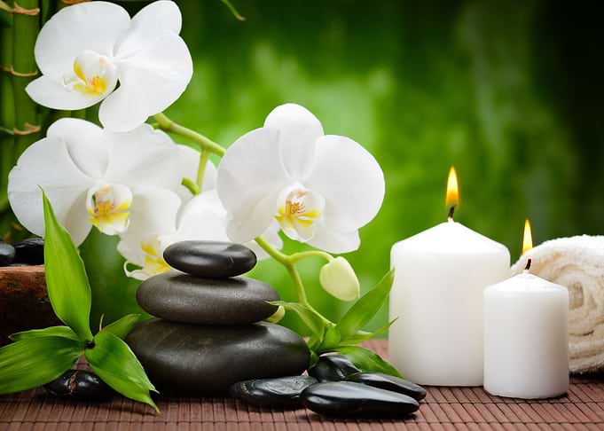 ZEN garden