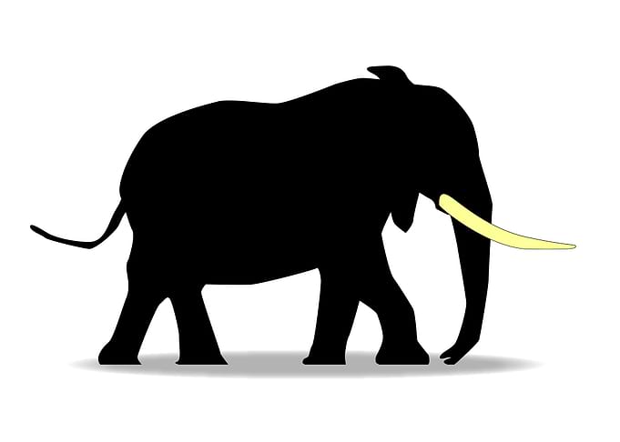 Cartoon Elephant