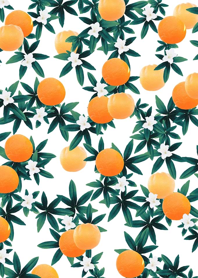 Orange Twist Vibes 1