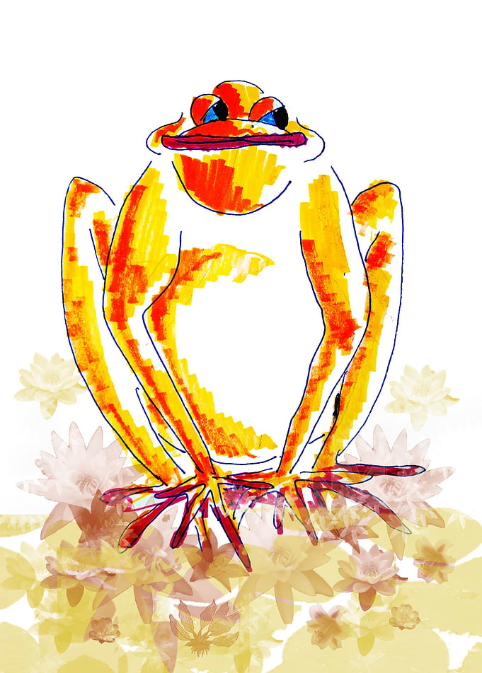 Yellow Frog