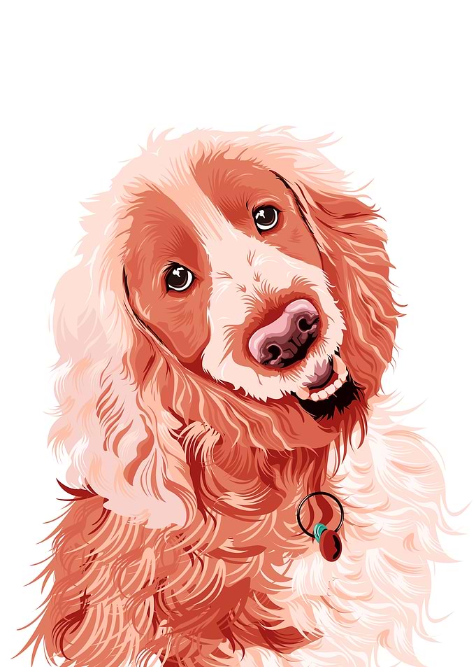 Fluffy Dog