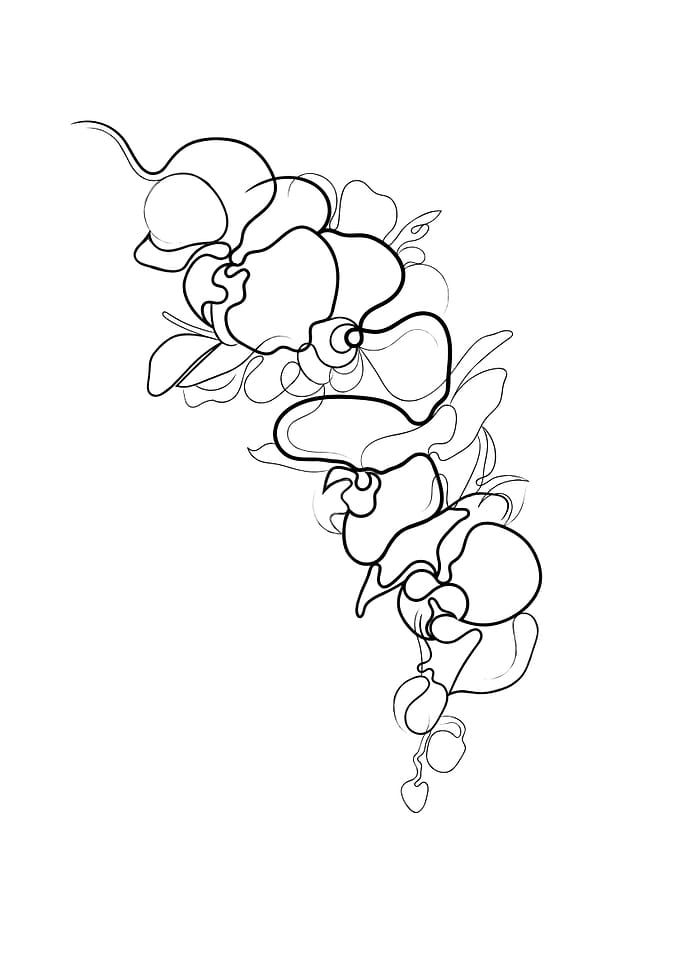 Orchid Flower Line Drawing