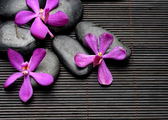 ZEN garden