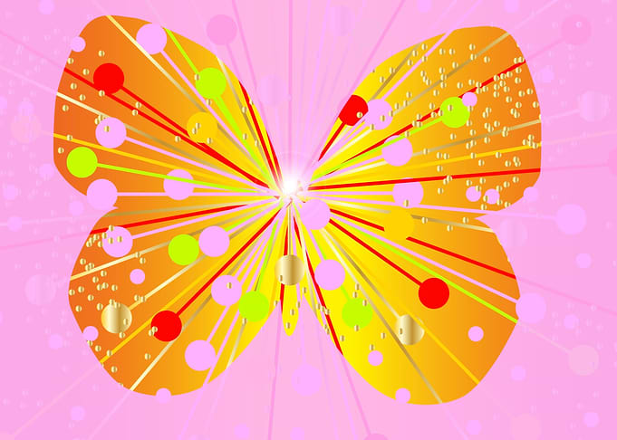 Abstract Butterfly