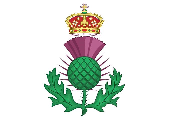 Thistle Symbol Of Scotland