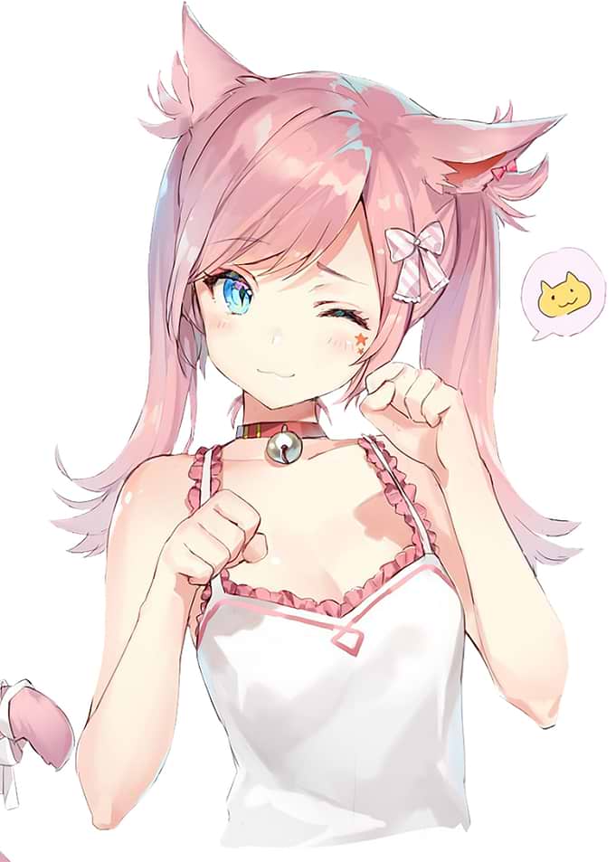 Cat Wink