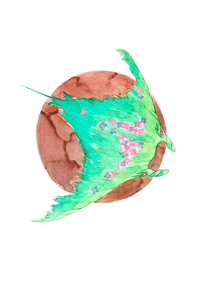 Manta of the Ground