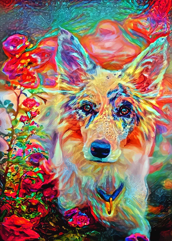 Roses and Shepherd