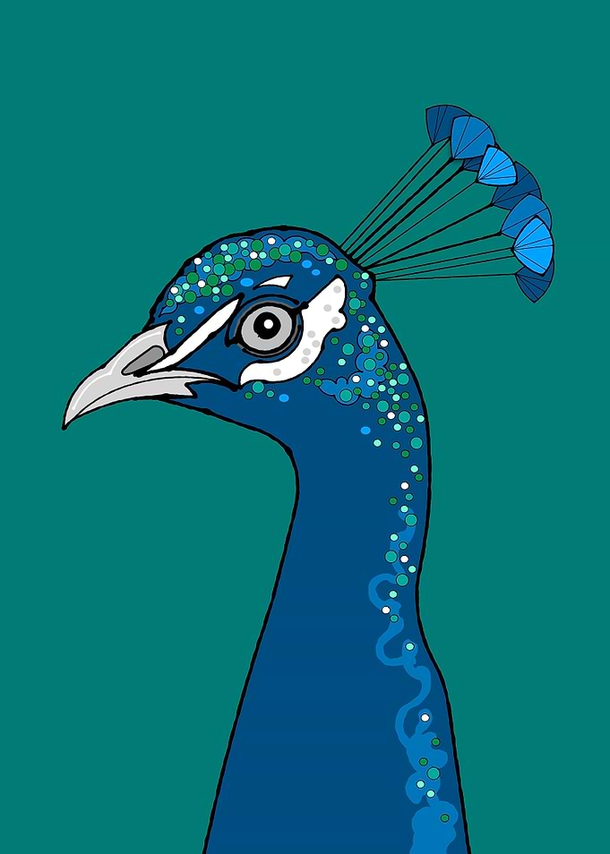 Peacock Portrait