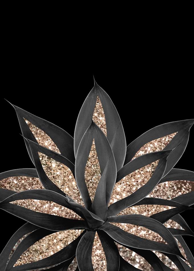 Gray Black Agave Gold 1