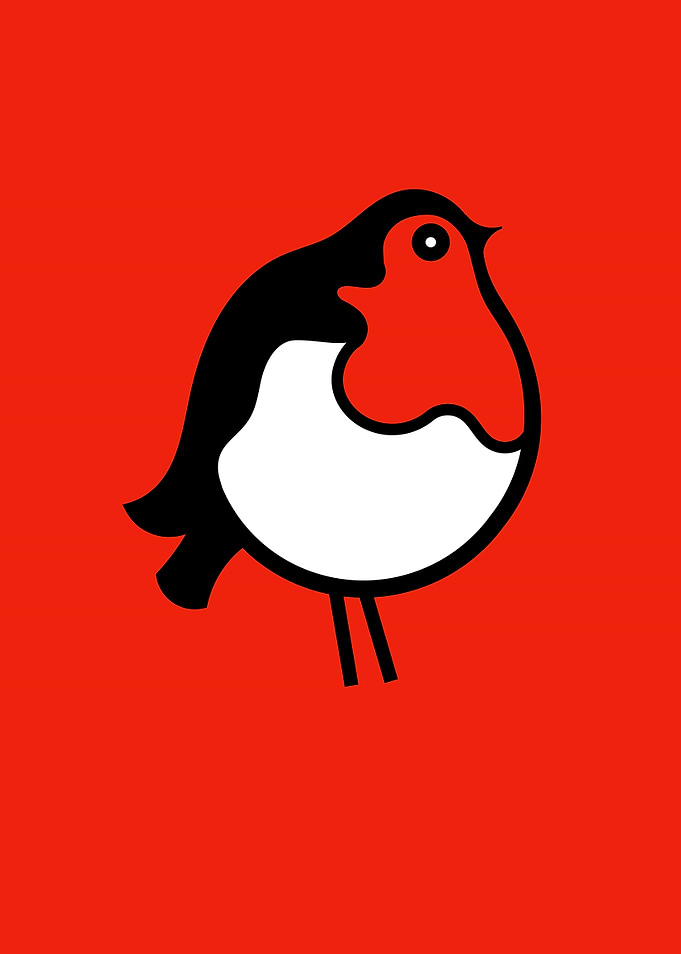 Red Breasted Robin