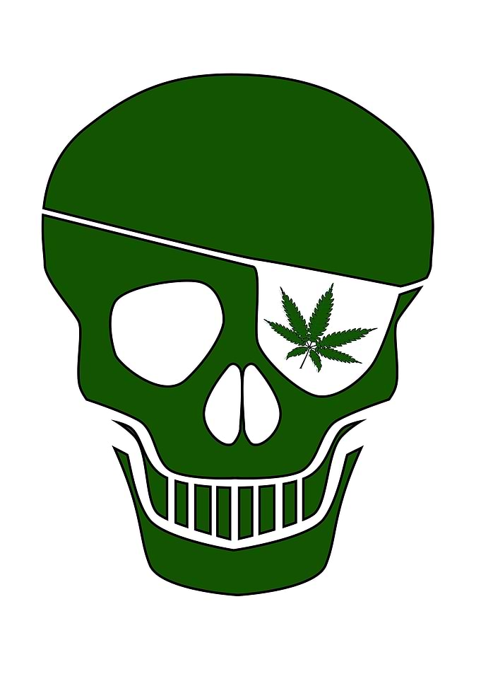 Canabis Patch Skull