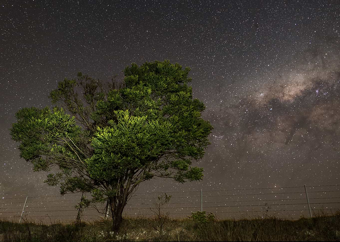 Starry Sky