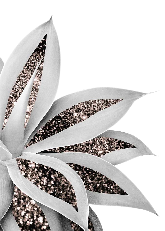 Agave Finesse Glitter 1