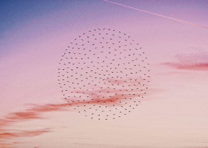 Flying in circles