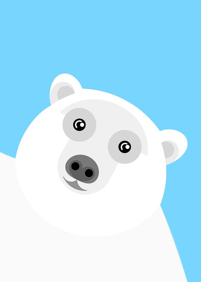 Peeking Polar Bear