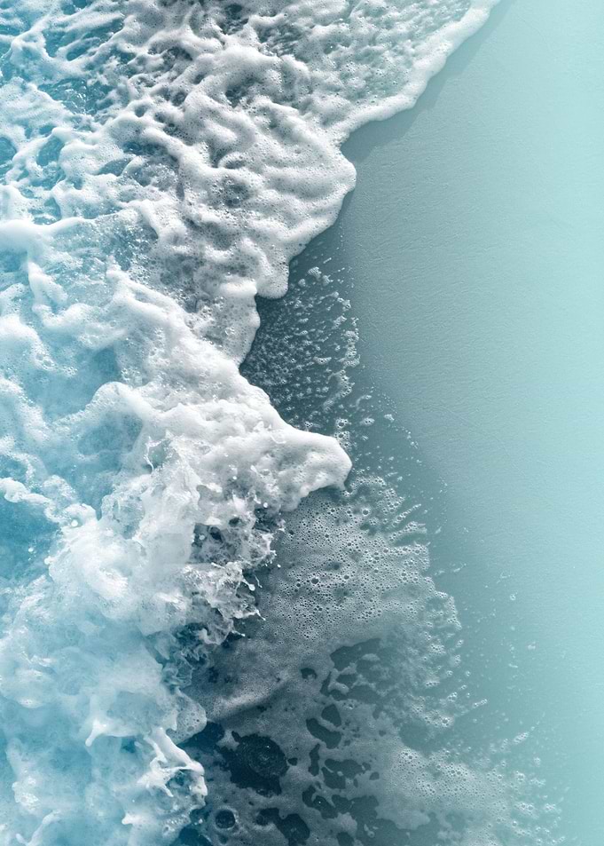 Ocean Beauty 2