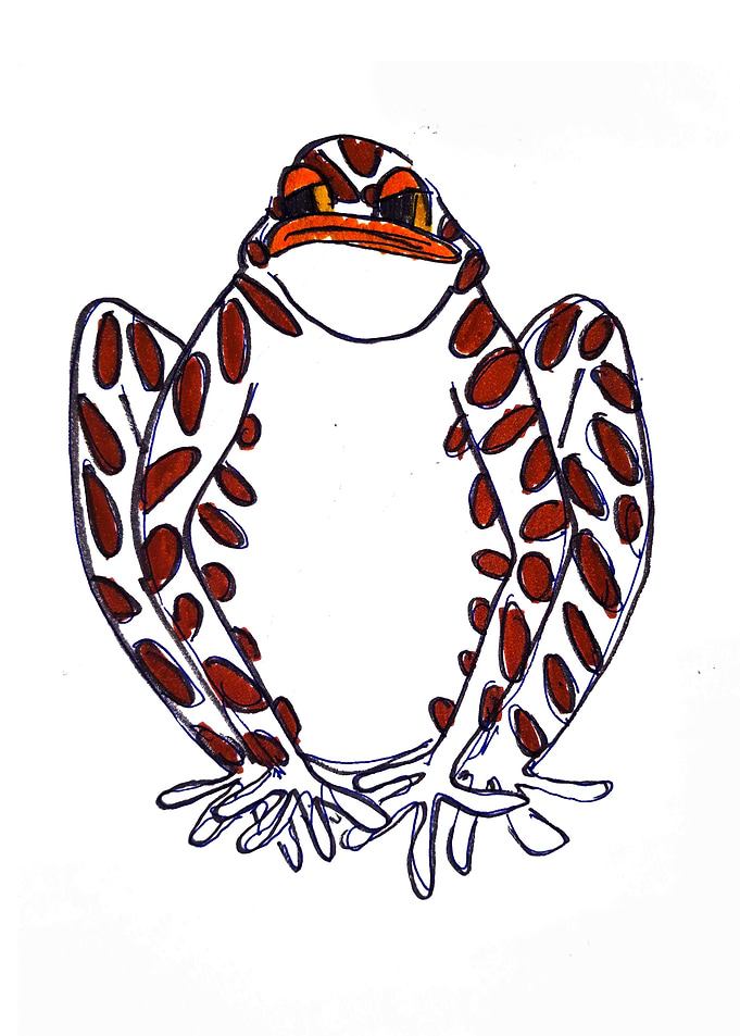 Mushroom Frog
