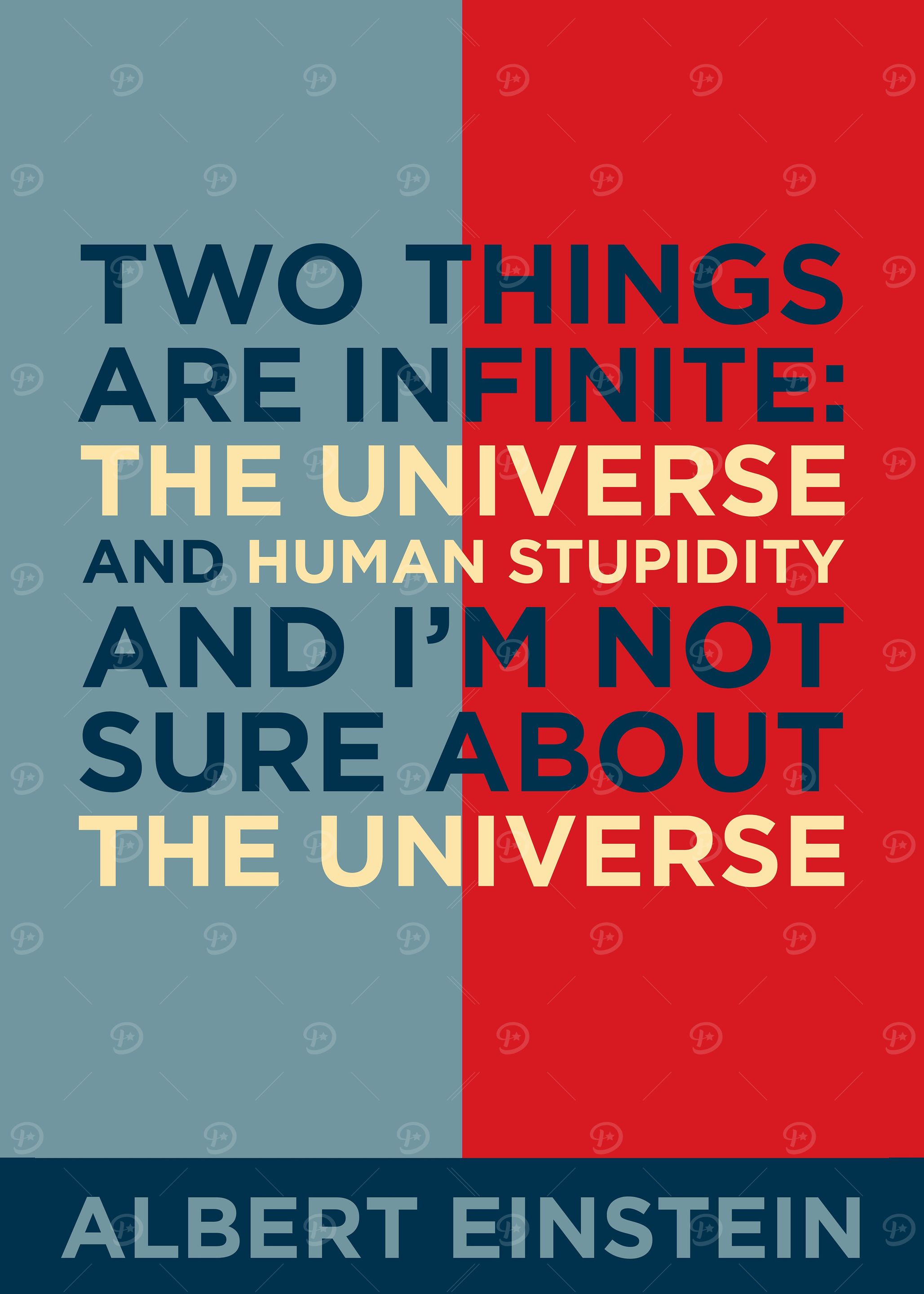 Albert Einstein Quote