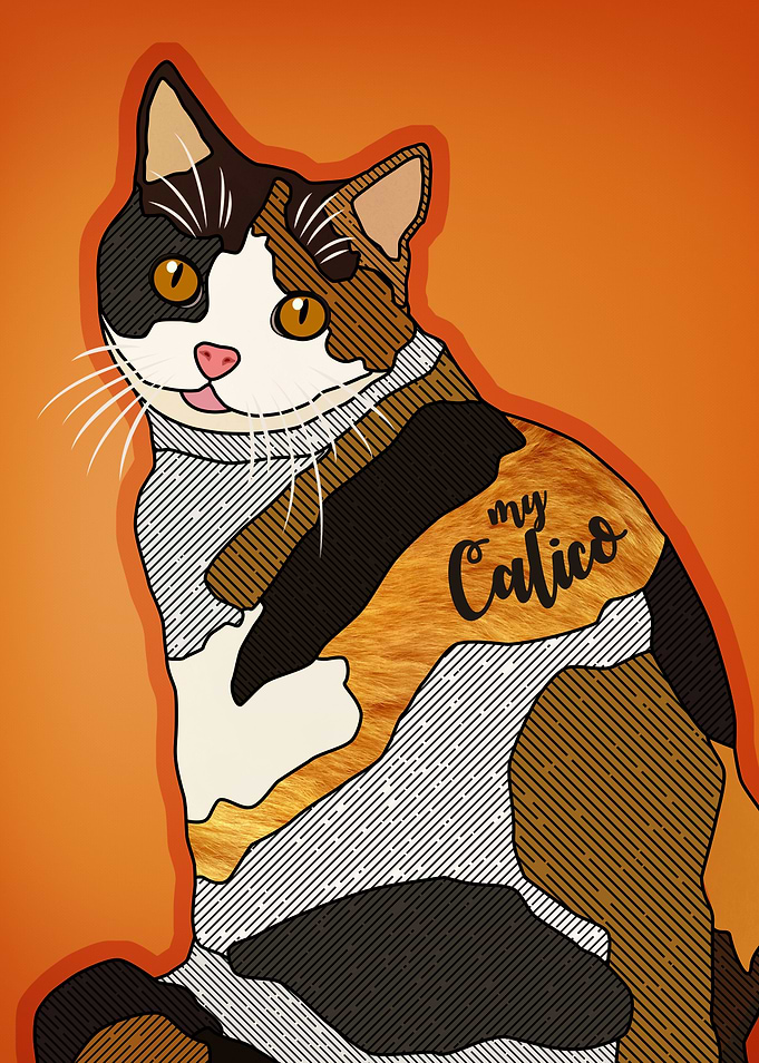 My Calico