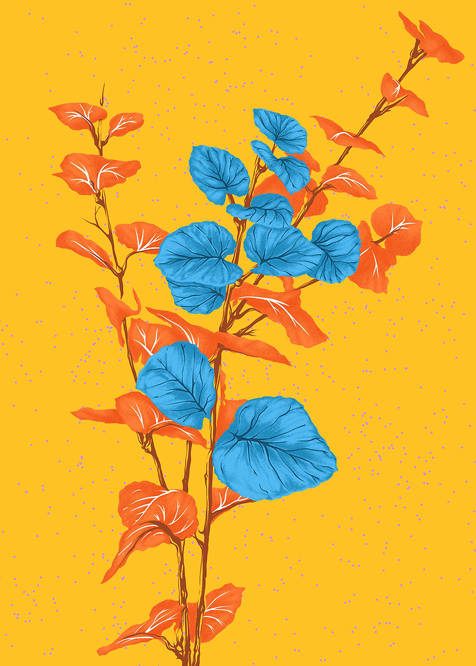 Orange and Blue Floral