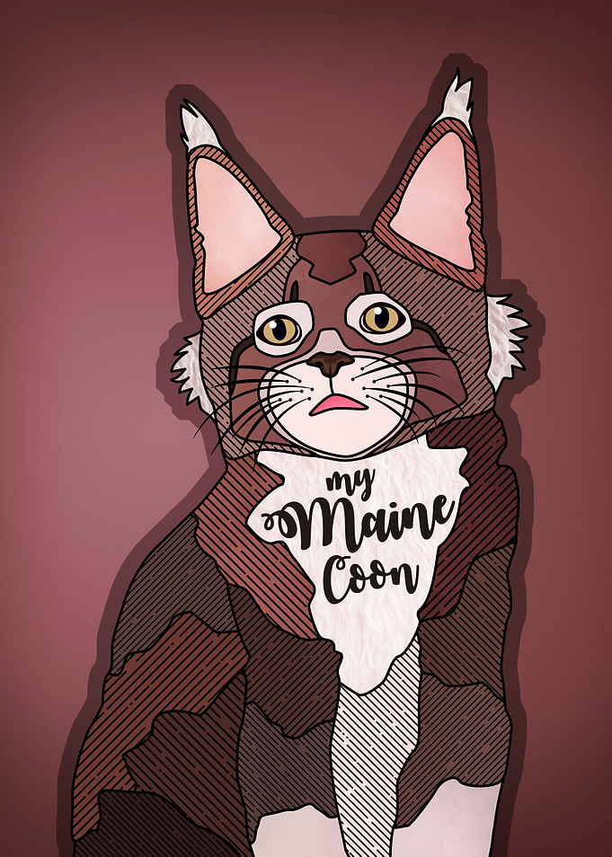 My Maine Coon