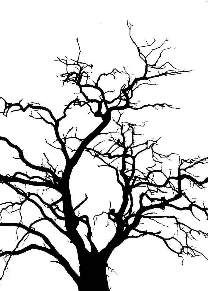 In memory of trees no5