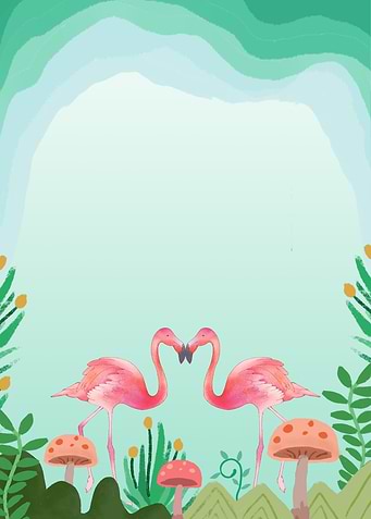 Two Flamingos making heart