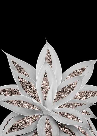 Gray Agave Rose Gold 2