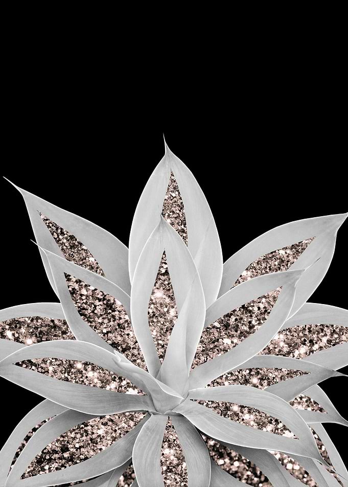Gray Agave Rose Gold 2