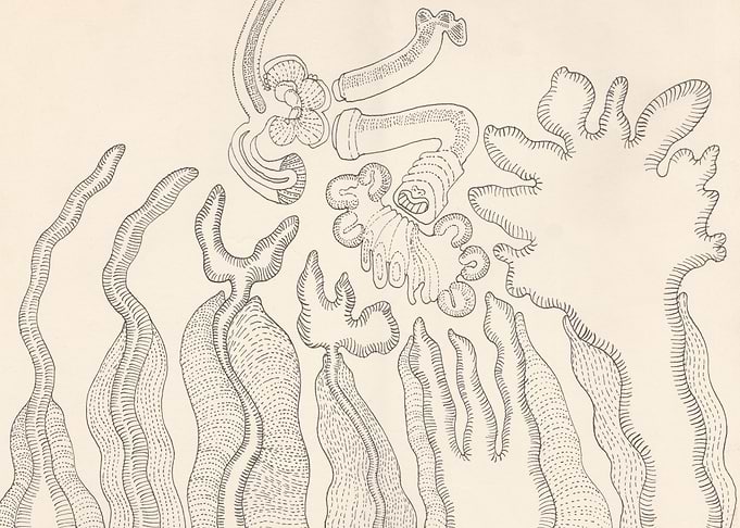 Abstract Plants