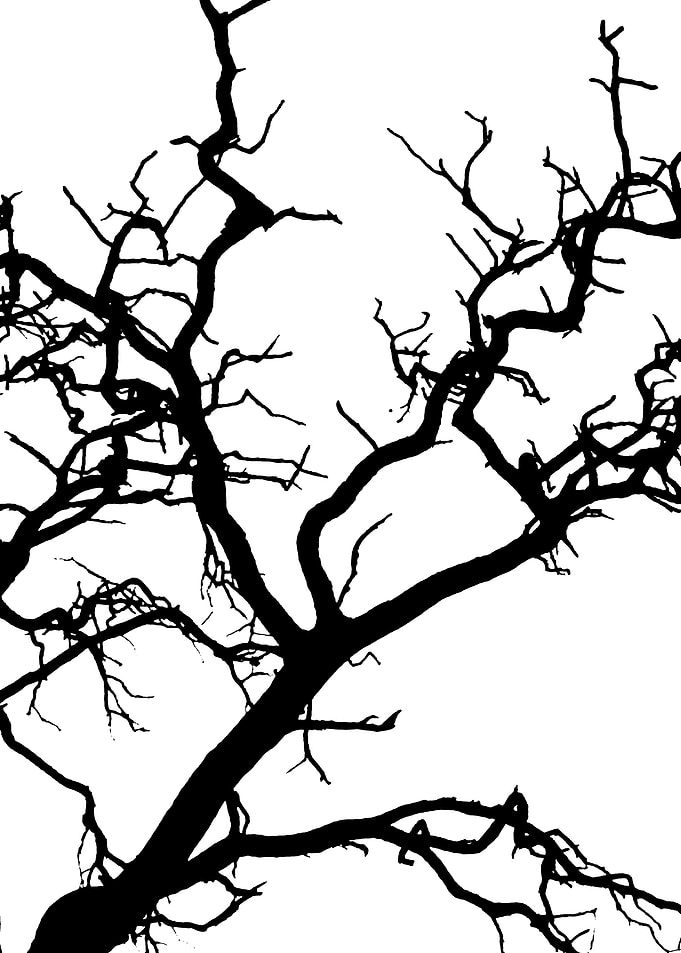 In memory of trees no15