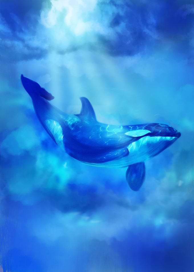 Blue Whale swim in the sea