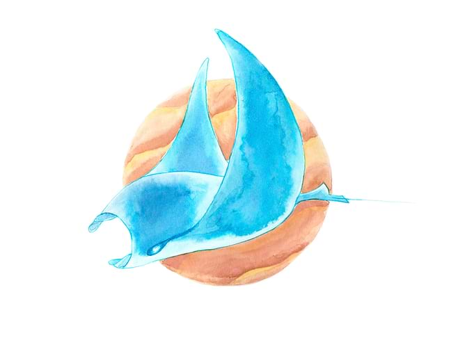 Manta of the Water