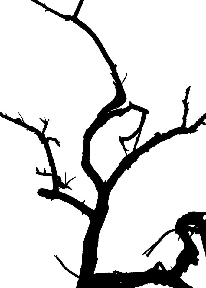 In memory of trees no3