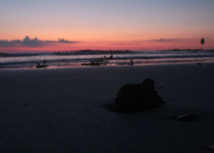 Stone on the shore