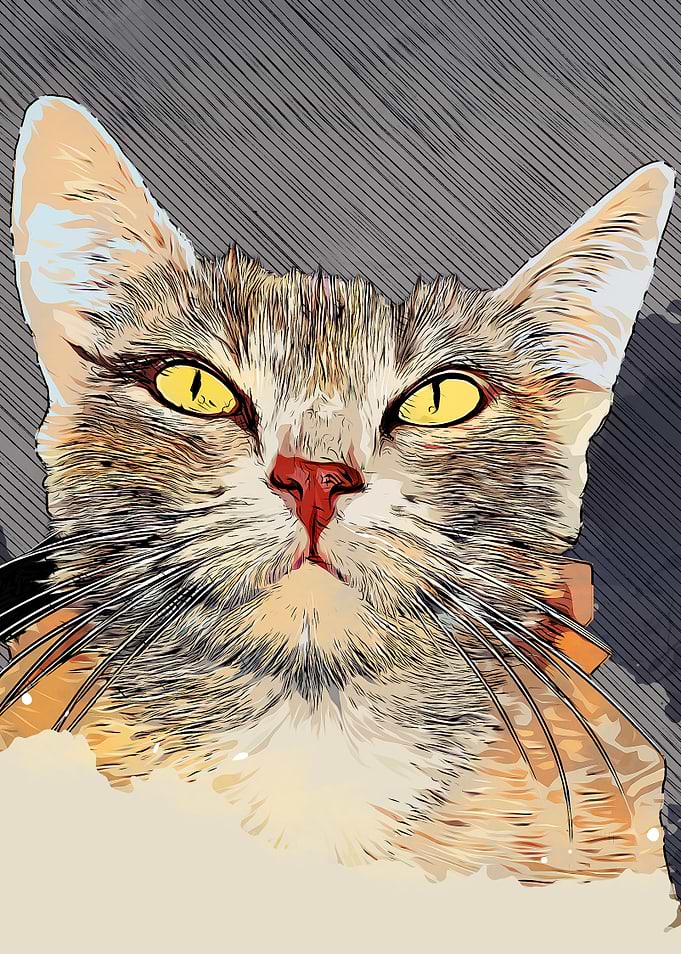 Cat art