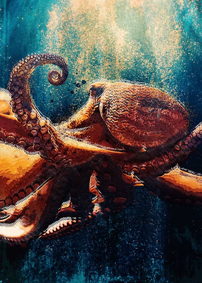 Octopus 03