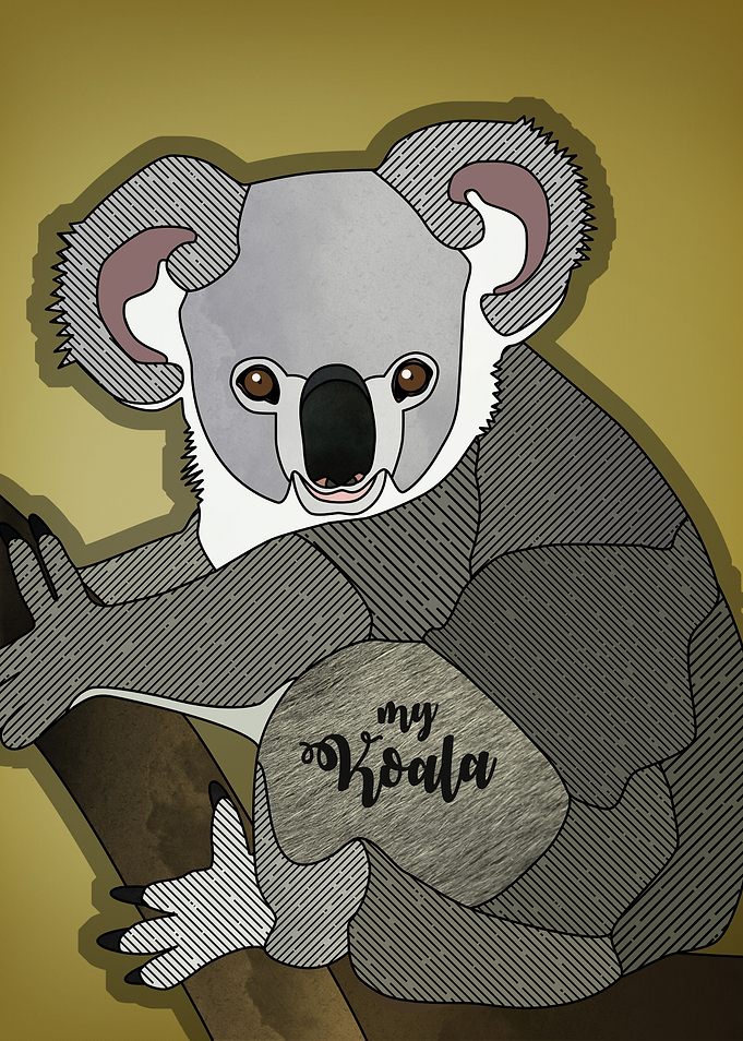 My Koala