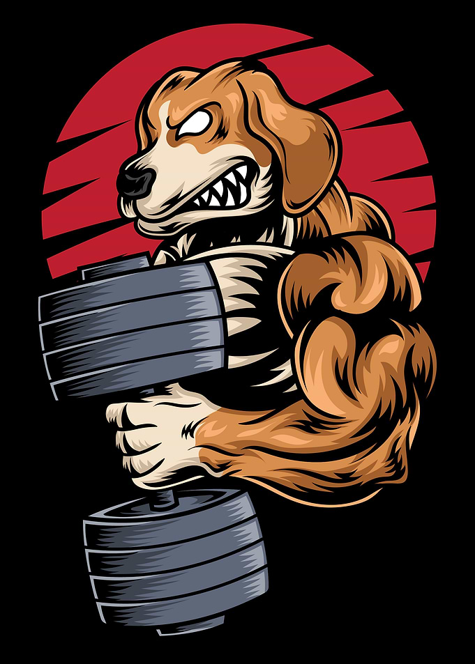 Sporty Dog