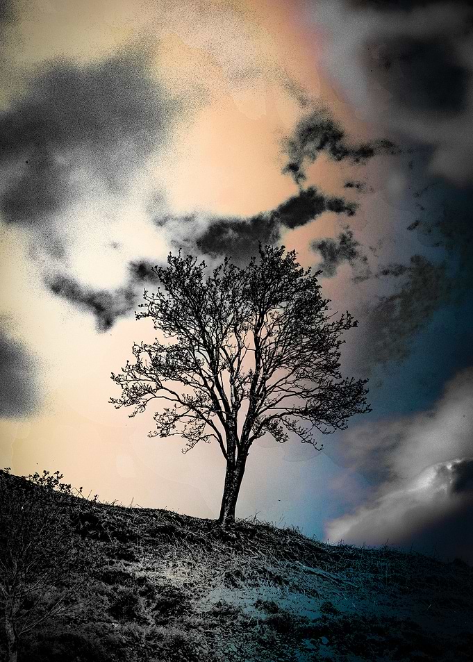 Alone