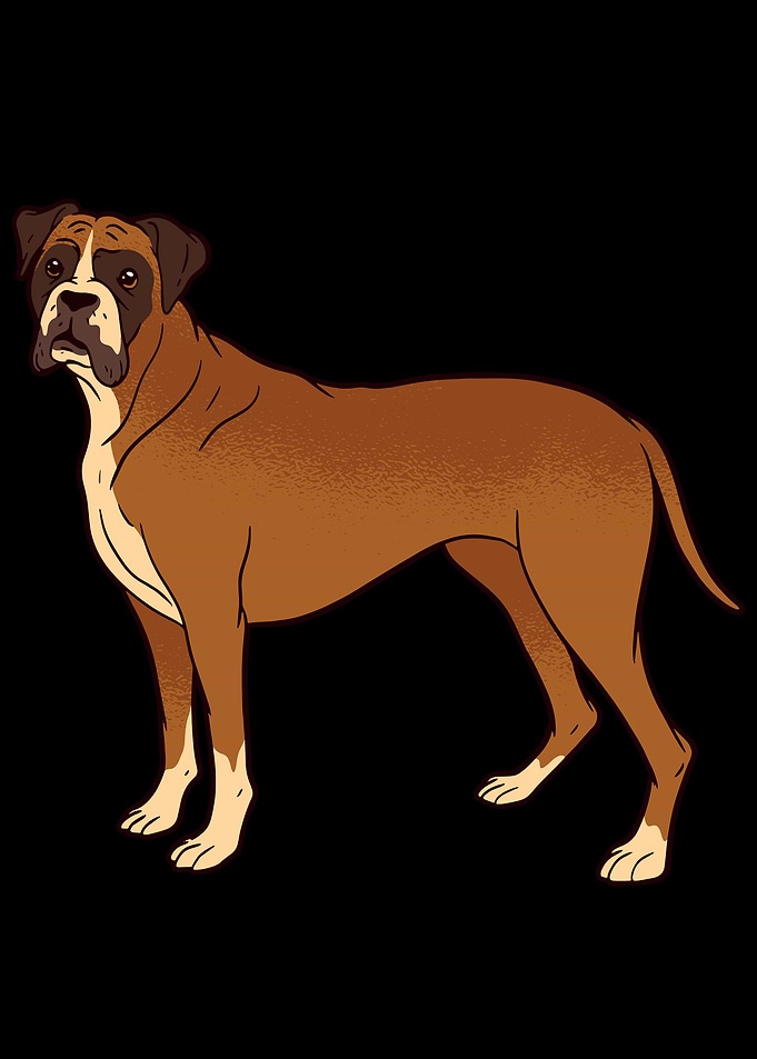 Portrait from a Boxer