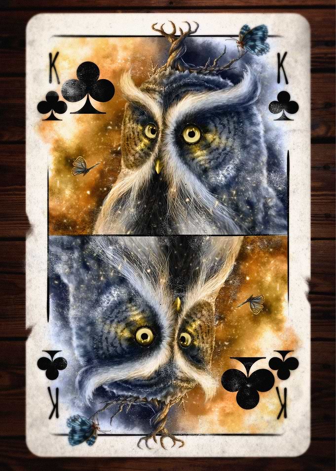 Clubs Astute Owl King
